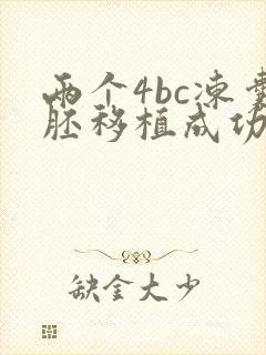 两个4bc冻囊胚移植成功率