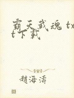 霸天武魂 txt下载