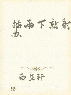 插两下就射怎么办封面