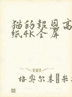猫的报恩高清壁纸4k全屏