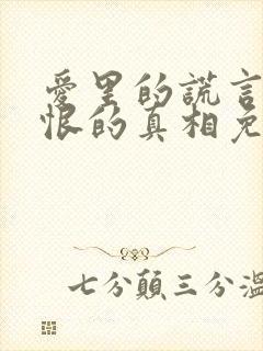 爱里的谎言,仇恨的真相免费观看全集