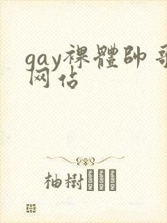 gay裸体帅哥网站