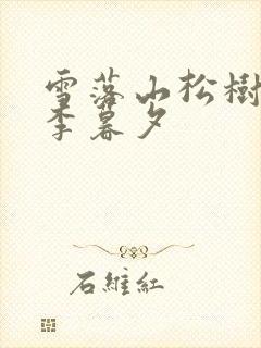 雪落山松树小说李暮夕