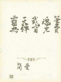 霸天武魂笔趣阁无弹窗免费阅读封面