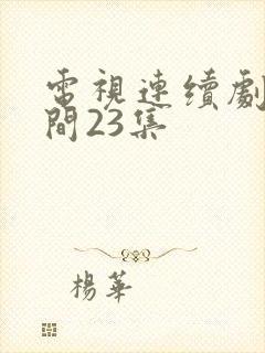 电视连续剧人世间23集