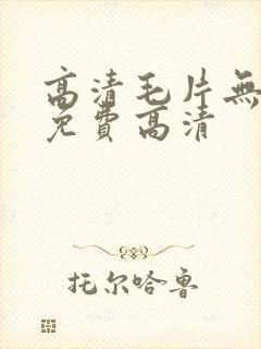 高清毛片无遮挡免费高清