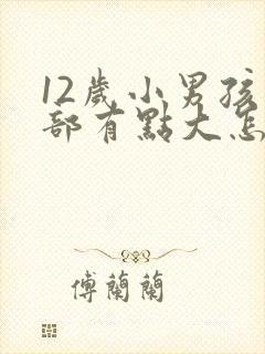 12岁小男孩胸部有点大怎么办