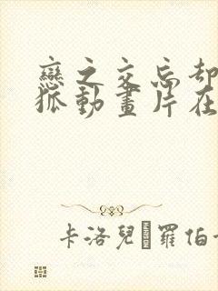 恋之交忘却の妖狐动画片在哪里看