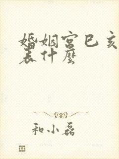 婚姻宫巳亥冲代表什么