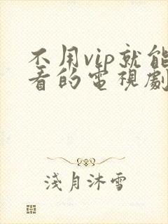 不用vip就能看的电视剧