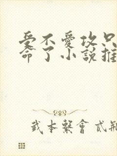 受不爱攻只是认命了小说推荐