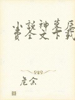 小说神墓辰东免费全文下载