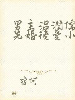 男主温润儒雅的先婚后爱小说