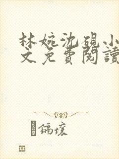 林婉沈砚小说全文免费阅读最新章节