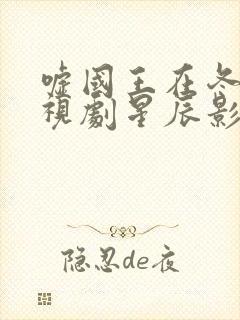 嘘国王在冬眠电视剧星辰影院