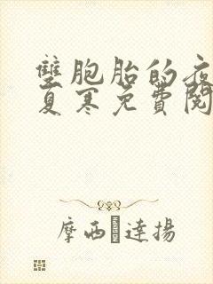 双胞胎的夜by夏寒免费阅读小说