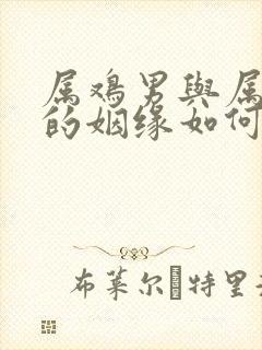 属鸡男与属马女的姻缘如何