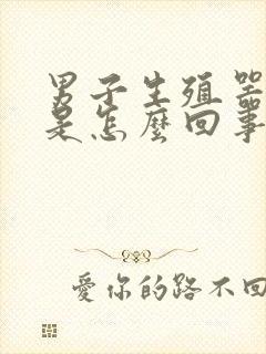 男子生殖器裂口是怎么回事