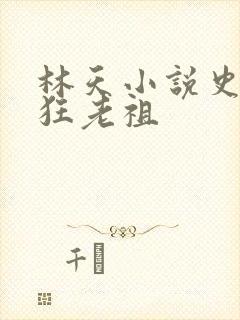 林天小说史上最狂老祖