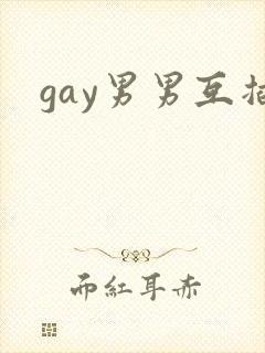 gay男男互插