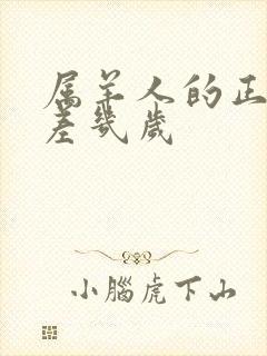 属羊人的正缘相差几岁