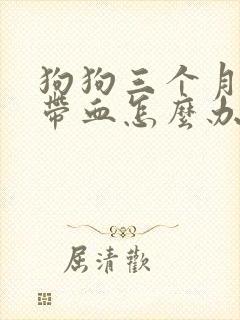 狗狗三个月拉稀带血怎么办