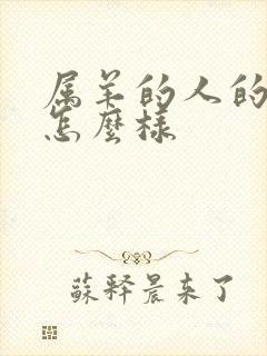 属羊的人的财运怎么样