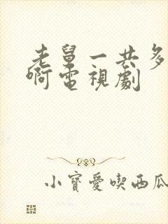 老舅一共多少集啊电视剧