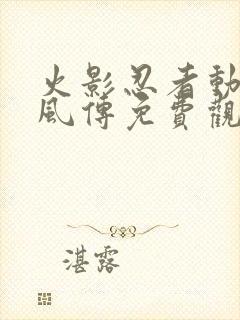 火影忍者动漫疾风传免费观看