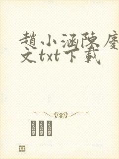 赵小涵陈庆之全文txt下载