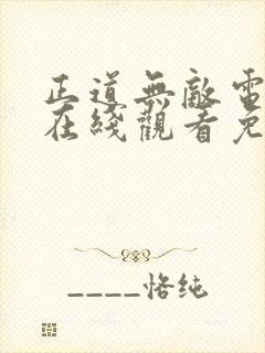 正道无敌电视剧在线观看免费