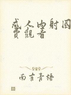 成人内射国产免费观看