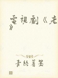 电视剧《老炮儿》