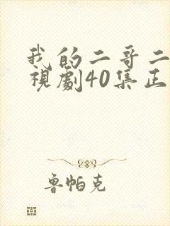 我的二哥二嫂电视剧40集正片