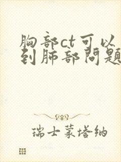 胸部ct可以看到肺部问题吗