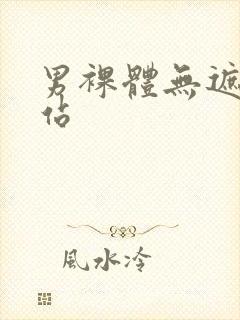 男裸体无遮挡网站