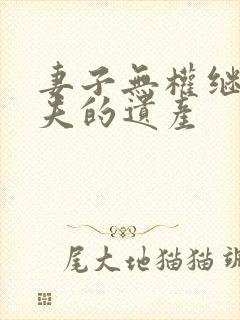 妻子无权继承丈夫的遗产封面