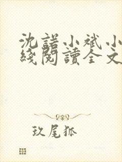 沈诺小斌小说在线阅读全文