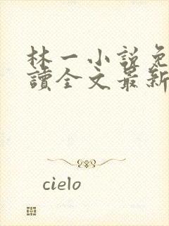 林一小说免费阅读全文最新章节