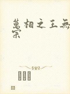 万相之王无相圣宗