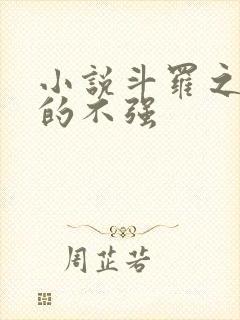 小说斗罗之我真的不强