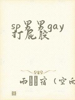 sp男男gay打屁股