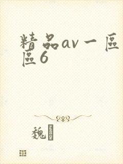 精品av一区二区6