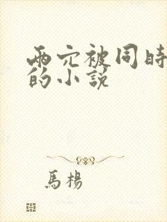 两穴被同时调教的小说封面