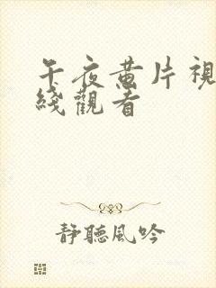 午夜黄片视频在线观看