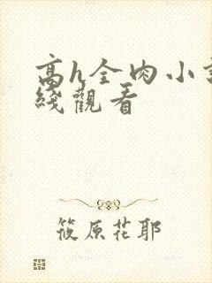 高h全肉小说在线观看