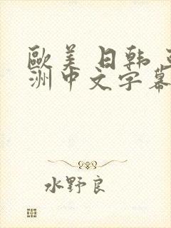 欧美 日韩 亚洲中文字幕封面