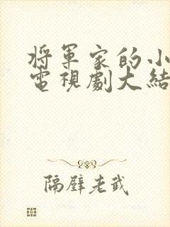 将军家的小娘子电视剧大结局封面