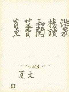 肖艾和杨烁小说免费阅读最新章节封面