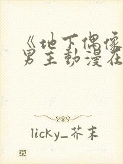 《地下偶像》双男主动漫在线